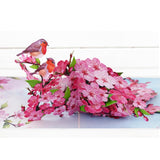 Cherry Blossom 3D Pop-Up Card – 6" X 8" Nature-Inspired Greeting With Robins And Pink Flowers – With Notecard – Ideal For Mother’S Day Thinking Of You Birthday And Love Occasions