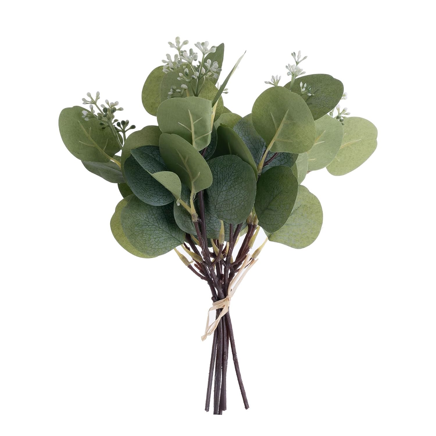 12.2" Artificial Greenery Eucalyptus Stem Silver Dollar Leaves Baby Eucalyptus Leaves Faux Eucalyptus Branches With White Seeds Suitable For Family Wedding Vase Centerpieces Bouquet Flower Arrangement