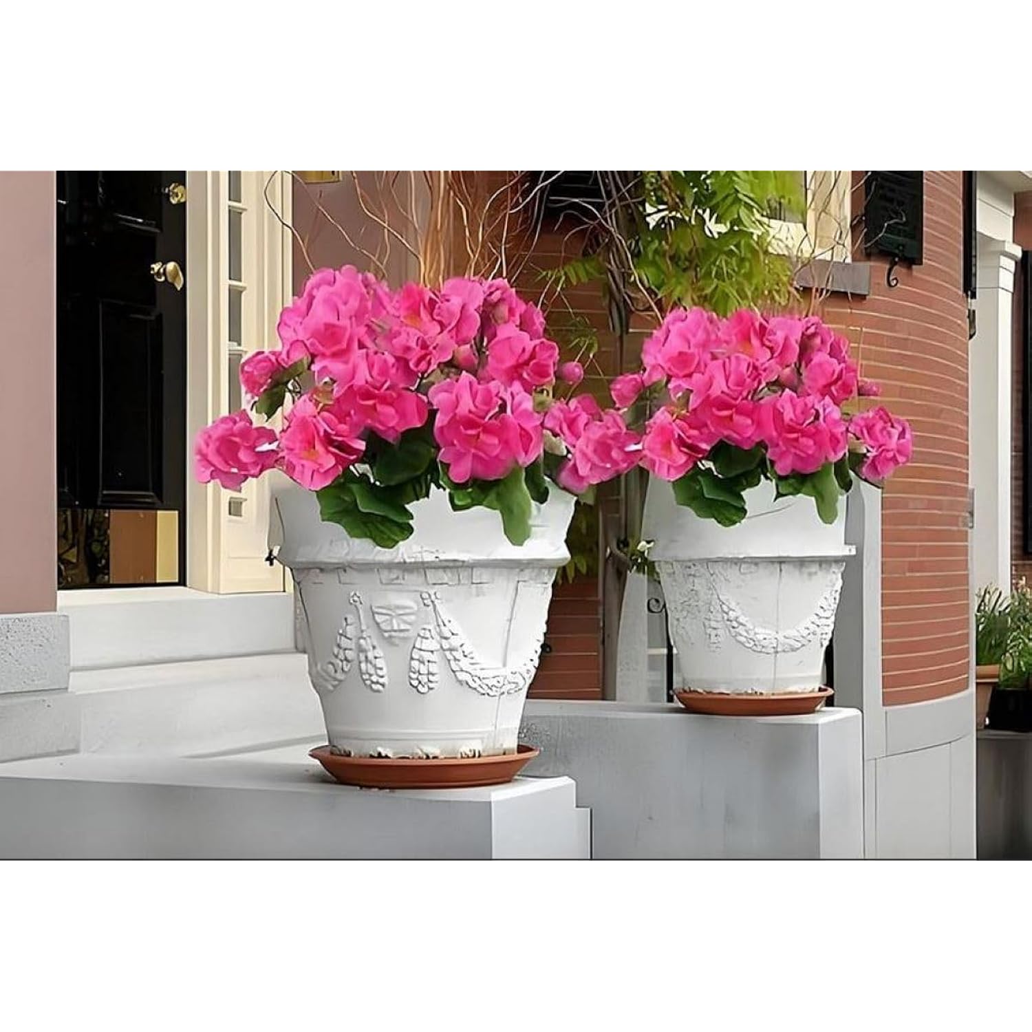 2Pcs Artificial Geraniums,Silk Flower Artificial Flowers Are Used For Home Decoration, Indoor, Outdoor Garden, Patio, Vase, Table Decoration, Home Decoration (Rose Red)