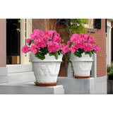 2Pcs Artificial Geraniums,Silk Flower Artificial Flowers Are Used For Home Decoration, Indoor, Outdoor Garden, Patio, Vase, Table Decoration, Home Decoration (Rose Red)