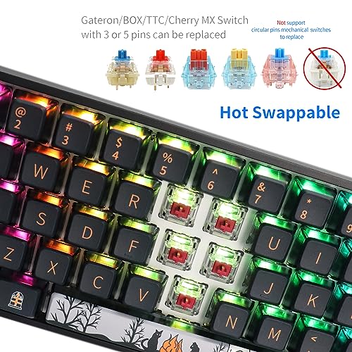 Skyloong Gk68 68-Key Rgb Backlit Gaming Keyboard With Side Transparent Pudding Keycaps, Hot Swappable Red Optical Switches, Type C Wired Knob Mechanical Keyboard For Win/Mac Os