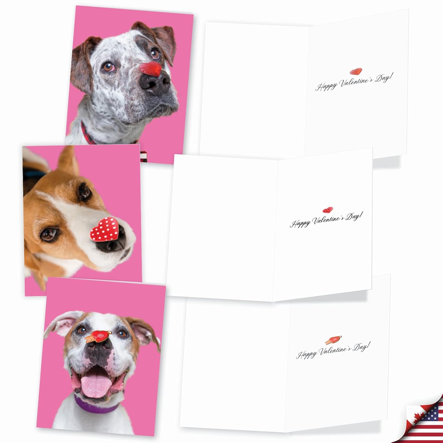 - 20 Assorted Boxed Valentine'S Day Note Cards With Envelopes (4 X 5.12 Inch) - Heart Dogs Am9161Vdg-B2X10