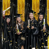 XL Black Gold Streamers 8x3.2ft Pack of 2 Party Backdrop Decor