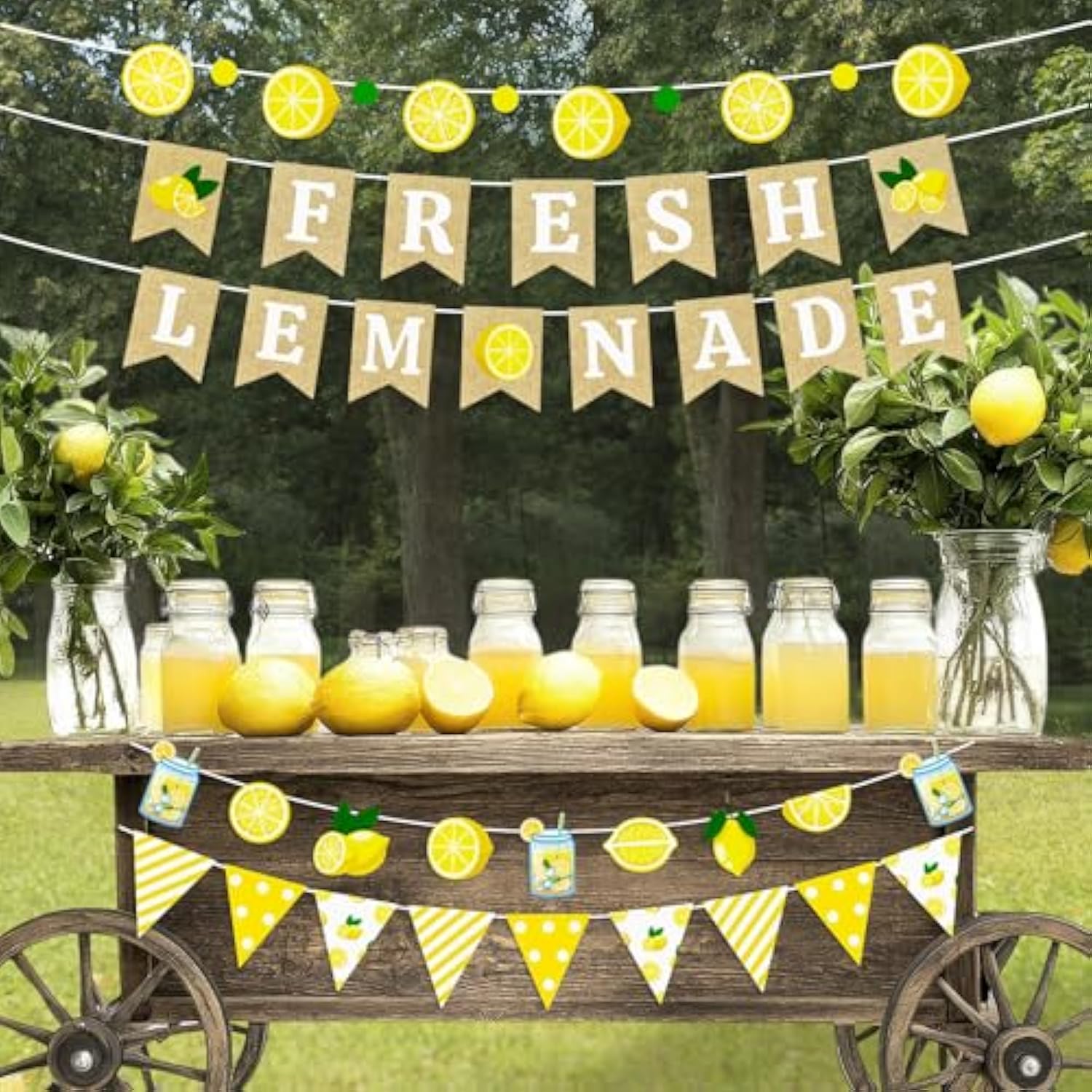 5 Pcs Lemonade Stand Decorations Lemon Sign Banner & Citrus Garland Set