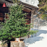 Christmas Tree Stand Base For 7Ft Real Tree Sliver Christmas Tree Holder Stable For Xmas Tree Decoration Rustic (White,Medium)