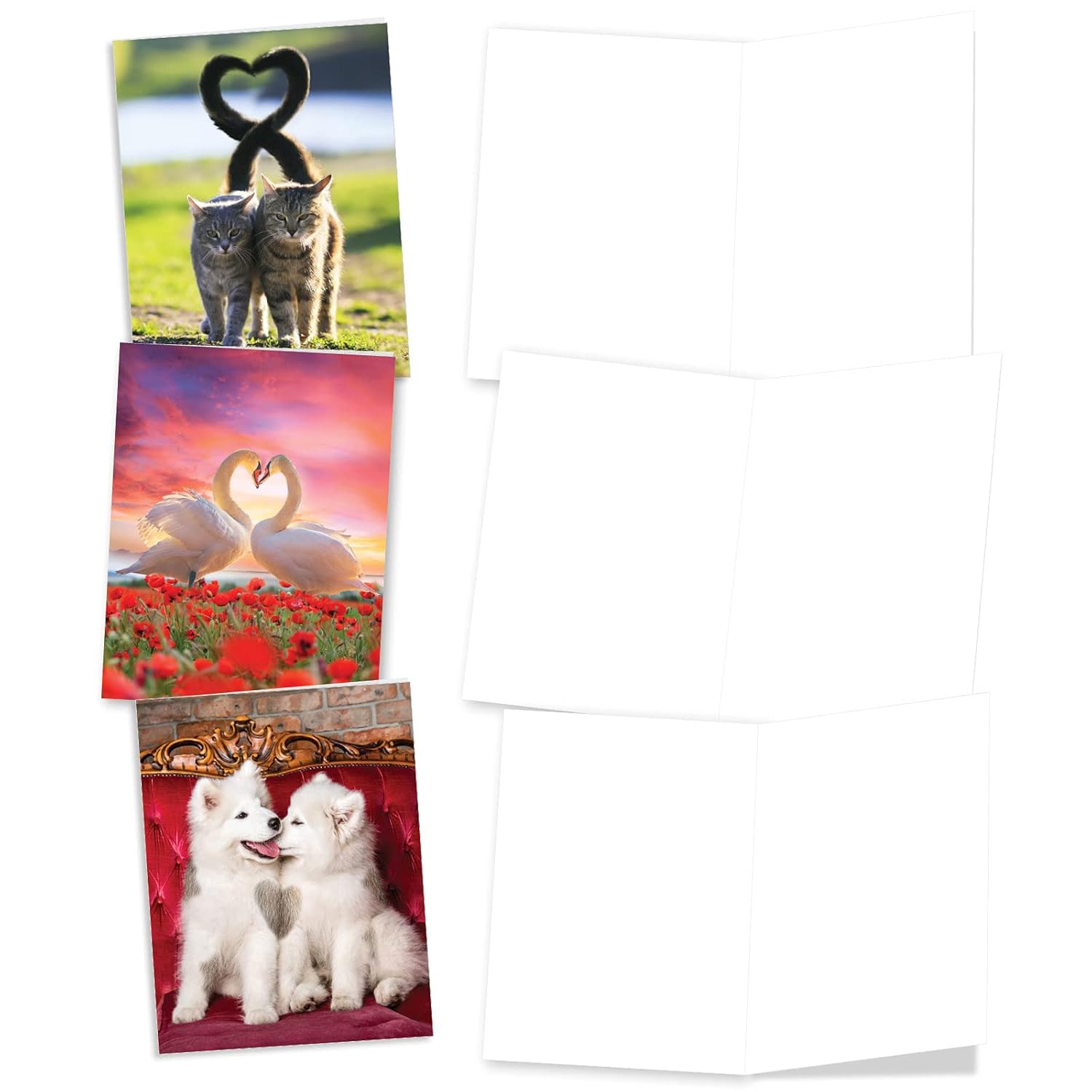 - 20 Assorted Bulk Animal Cards Boxed (4 X 5.12 Inch) (10 Designs, 2 Each) - Loving Animals Am3504Ocb-B2X10