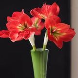 21.5" Artificial Amaryllis Flowers Red Fake Silk Flowers Faux Belladonna Lily For Home Office Hotel Decoration Wedding Centerpiece Bouquet1(3Pcs,Red)