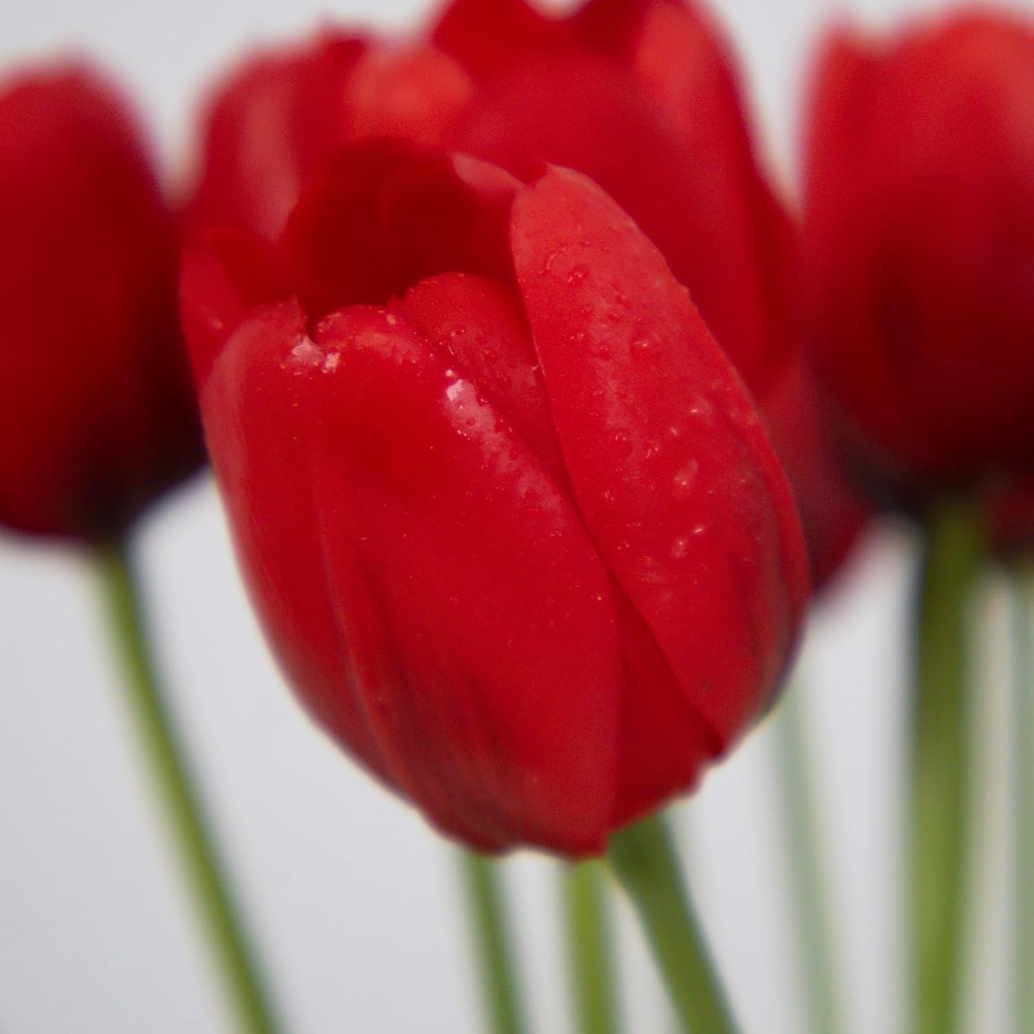 20 Pcs Real Touch Artificial Tulips With Vase, Large Faux Flower Arrangement In Heavy Fluted Glass, Bouquet For Dining Table Centerpiece, Home Office, Spring Decor, Set With Dust Bag (Red)