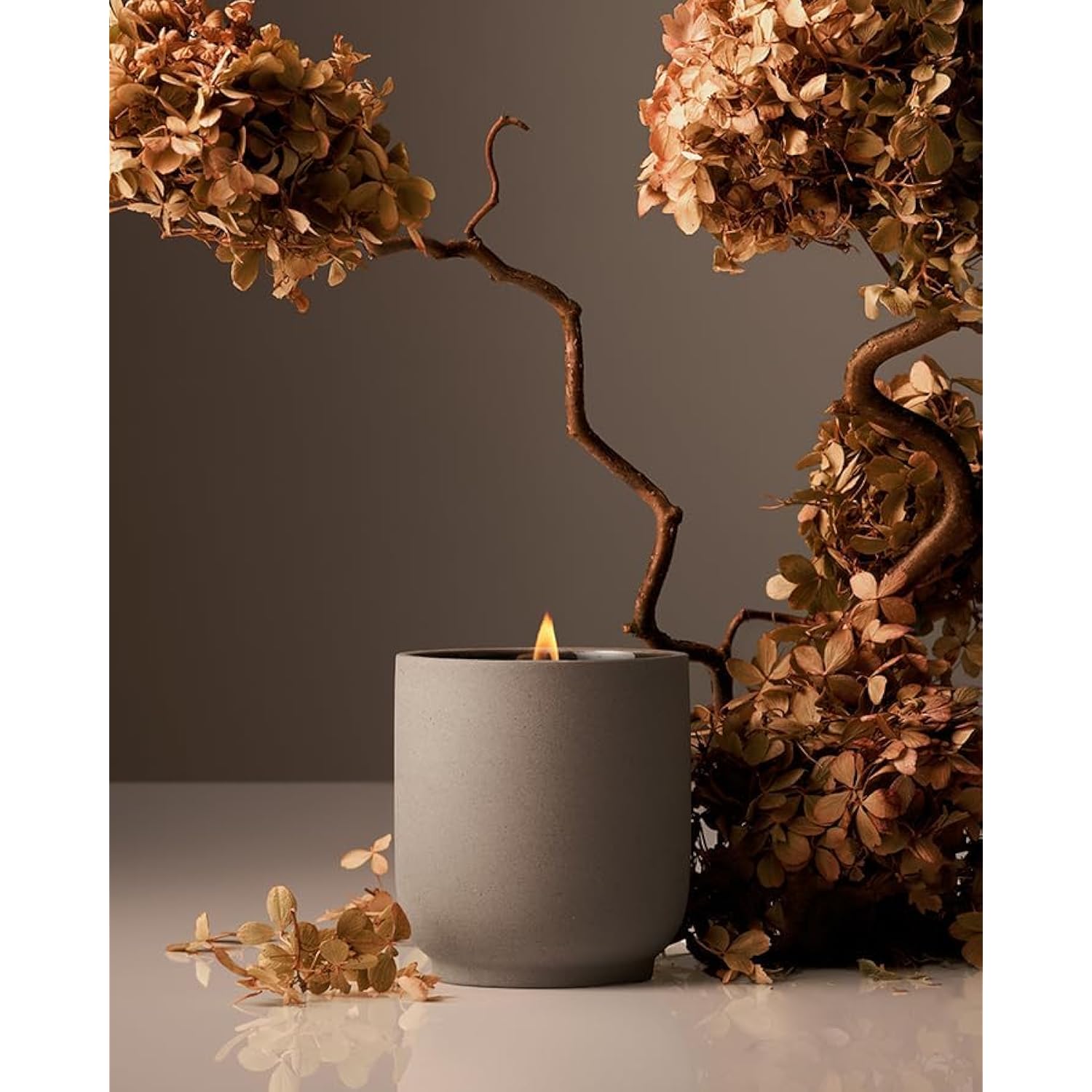 Luxury Scented Candle, Cece Scent, 60-Hour Burn Time, Soy Wax Blend, Organic Cotton Wick, Kiln-Fired Reusable Ceramic Vessel, 8 Oz, 2.0