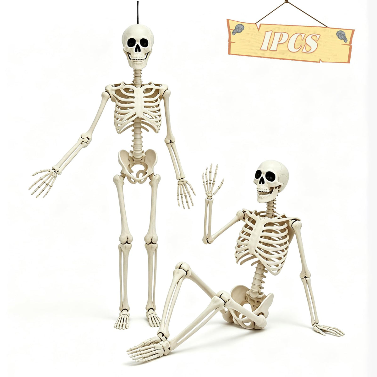 5.75ft Life Size Posable Halloween Skeleton, Movable Joints