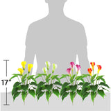 Artificial Flower 17 Inches Calla Lily Silk Plant Fake Bonsai Flowers Greenery Plants For Indoor Outdoor Home Office Bedroom Table Centerpieces Party Decoration 2 Pack (White, 2)