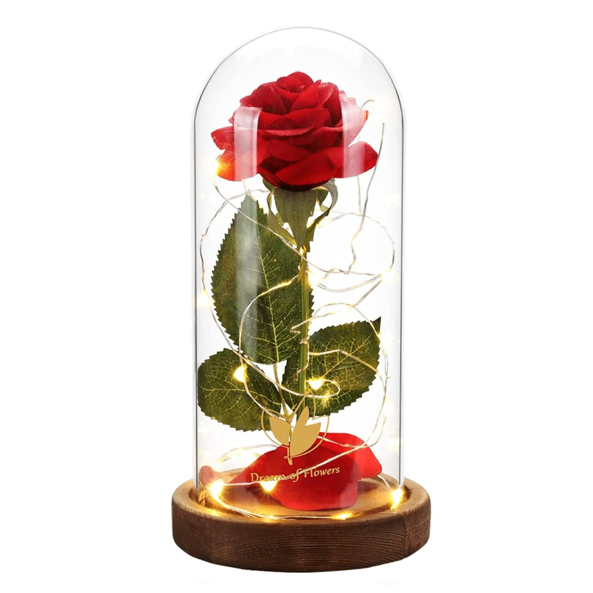 Valentines Day Gifts For Her,Beauty And The Beast Rose In Glass Dome,Lasts Forever Red Rose With Led Lights,Gifts For Women,Mom,Wife,Anniversary,Birthday, Wedding Home Decor