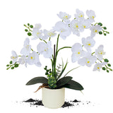 Upgraded White Artificial Orchid Flowers With Ceramic Vase Fake Orchids Real Touch Flowers For Home Decor Bathroom Decoration Table Centerpieces (White)