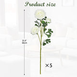 White Ranunculus Artificial Flowers Bouquets, Set Of 5 25.9'' Long Stems Faux Peony, Real Touch Spring Summer Floral Arrangement For Home Decor Wedding Vase Filler Diy Crafts