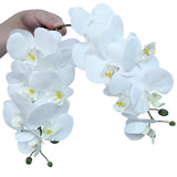 8 Pcs Artificial Phalaenopsis Flowers 32 Inch Artificial Orchid Flowers Fake Flowers Stem Plants For Home Décor (White)