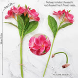3 Pcs Artificial Plumeria Flowers With Leaves,Lifelike Plumeria Frangipani Flower And Bud Bouquets Total 9 Fake Flowers For Home Office Wedding Party Decoration Diy Bouquet Craft Gift (Rose Red)