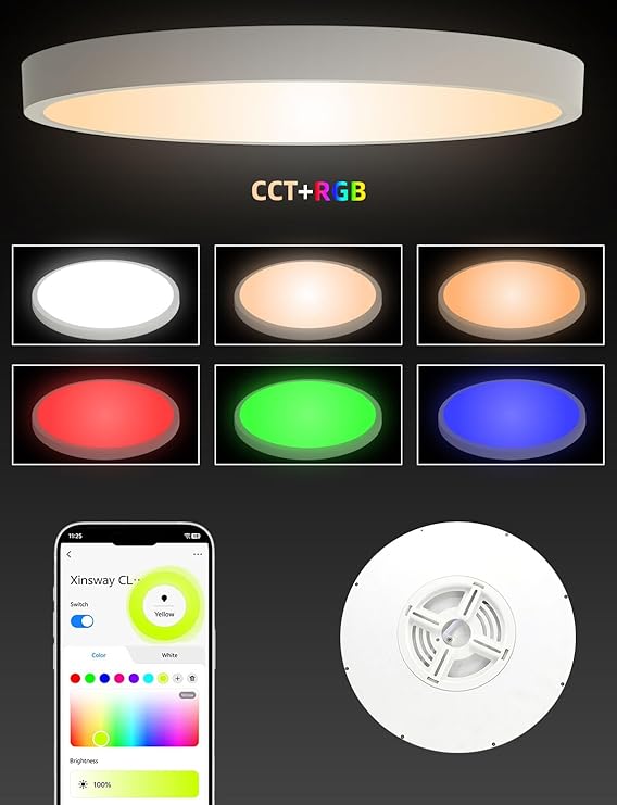 12 Inch Smart Ceiling Light White RGB Dimmable Alexa Google Fixture