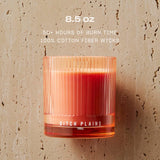 Ditch Plains Scented Candle By , Neroli And Cedarwood, 50+ Hours, 100% Cotton Fiber Wicks, Soy Wax Blend, Non-Toxic, Vegan, 8.5 Oz