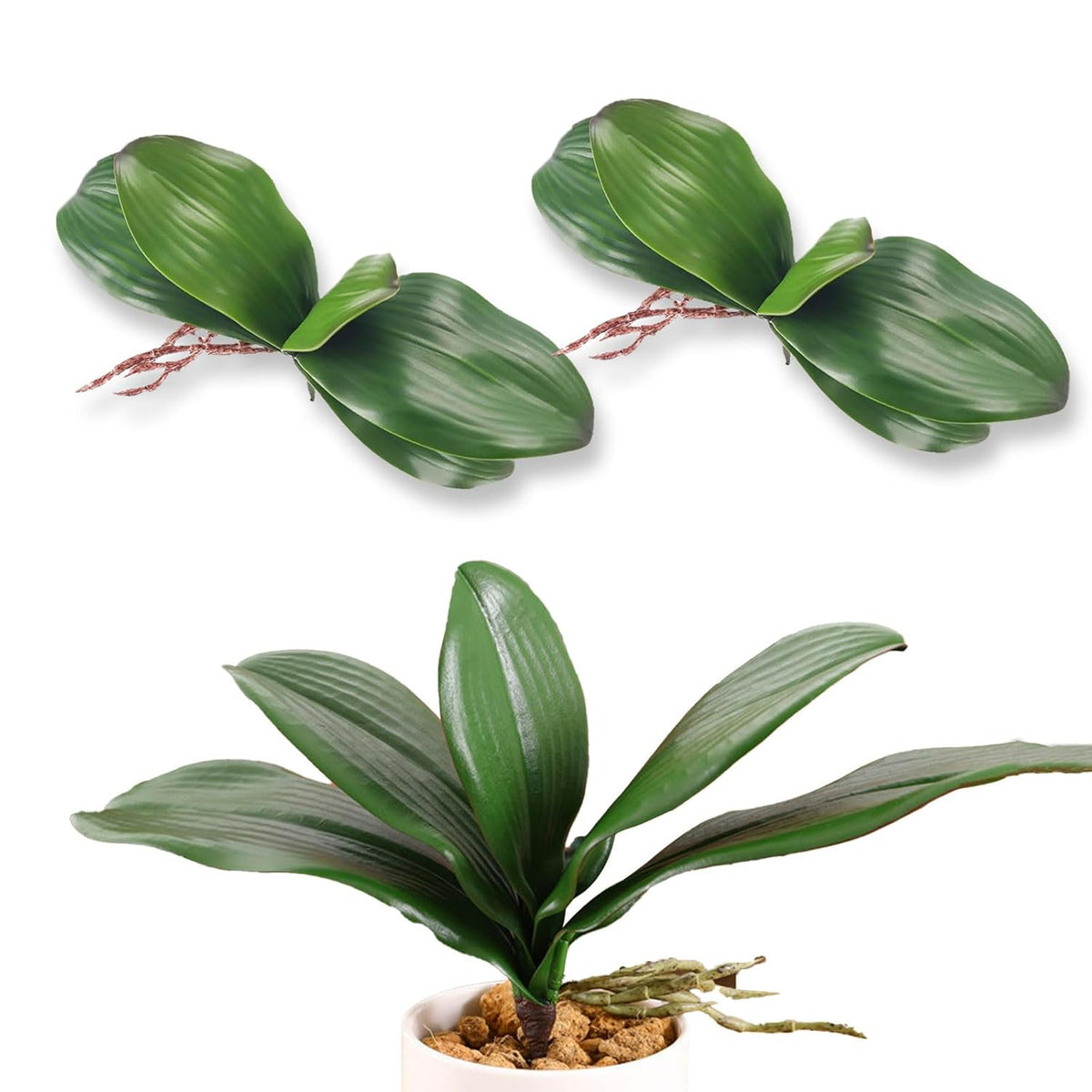 Orchid Leaves Artificial Artificial Orchid Leaves Real Touch Phalaenopsis Stems Faux Cymbidium Flower Foliage Green Artificial Orchid Bulk 2Pack Lifelike Orchid Leaf Decor Faux Orchid 8 Inches
