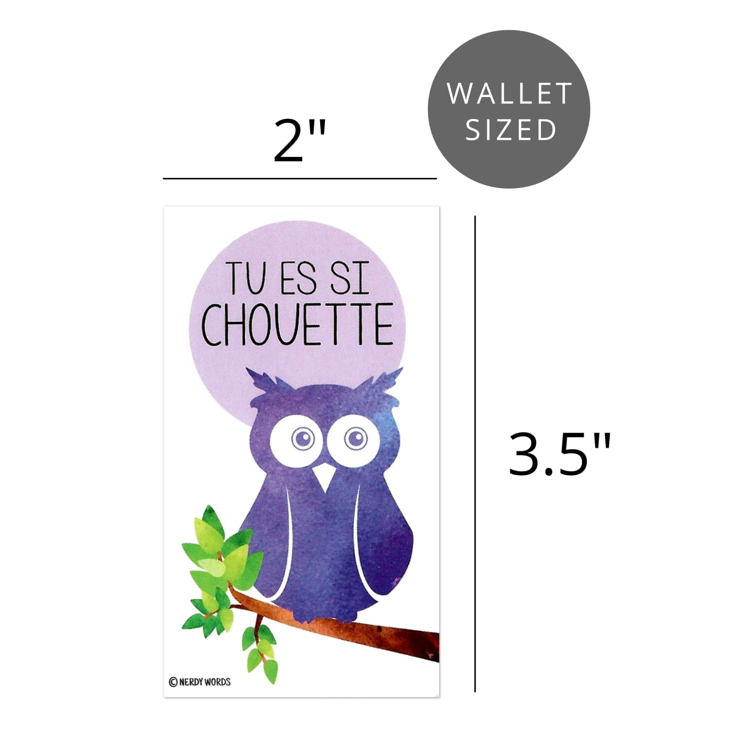 Mini French Owl Raccoon Dog Ant Valentines (Wallet-Sized Cards With Tiny Envelopes) French Language Cards For Valentine'S Day (Set Of 24)