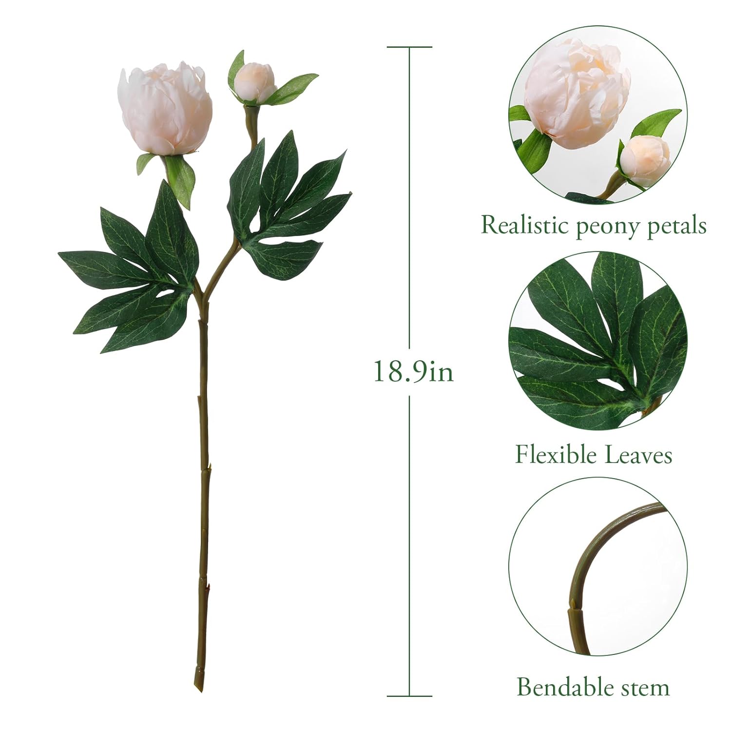 6Pcs Realistic Champagne Artificial Peony Flowers,18.9 Inch Double Heads Silk Fake Peonies Flowers With Long Stem For Vase Arrangement,Wedding Centerpieces,Indoor Decor