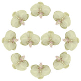 uxcell 10 Pcs Artificial Orchid Flower Heads, Fake Butterfly Orchid Heads Bulk Artificial Flowers for DIY Wedding Bouquets Centerpieces Party Home Decorations, Green