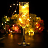 Warm White Fairy Lights Battery Operated With Remote, 2Pack 33Ft 100 Led Outdoor String Lights Control Timer, Waterproof