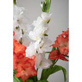 Long Stem Artificial Gladiolus Flower, Set Of 2, Home/Wedding/Office Decor (Orange)