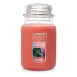 Yankee Candle Cliffside Sunrise Scented, Classic 22oz Large Jar Single Wick Candle, Over 110 Hours of Burn Time