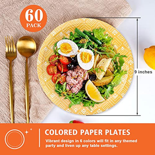 Rainbow Paper Plates For Party Supplies, 60 Count Multicolor Disposable Dinner Plates For Birthday Baby Shower Cocktail Decorations 9 Inch
