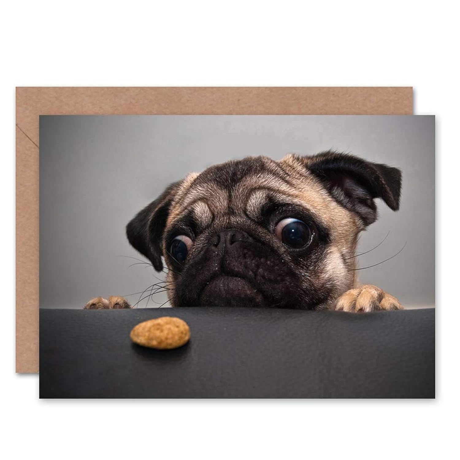 Animal Portrait Pug Dog Treat Food Eyes Cute Sealed Greeting Card Plus Envelope Blank Inside
