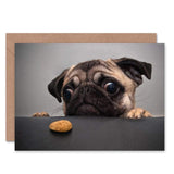 Animal Portrait Pug Dog Treat Food Eyes Cute Sealed Greeting Card Plus Envelope Blank Inside