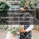 Party Confetti Natural Dried Flower Petals, 12 Packs Biodegradable Confetti Real Rose Petals For Wedding And Party Decoration