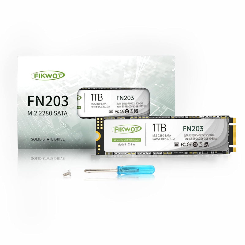 Fn203 1Tb M.2 Sata Ssd - Slc Cache 3D Nand Tlc Sata Iii 6Gb/S M.2 2280 Ngff In