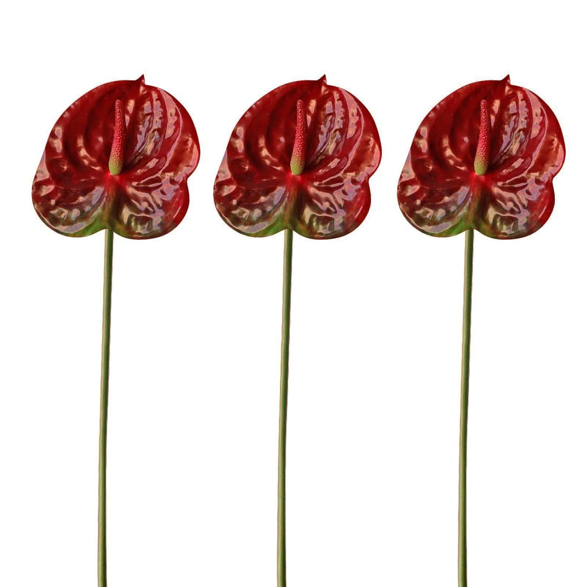 3Pcs Artificial Anthurium Lily Flowers 22" Red Fake Tropical Flowers For Vase Bouquets Home Office Wedding Decor(Red)