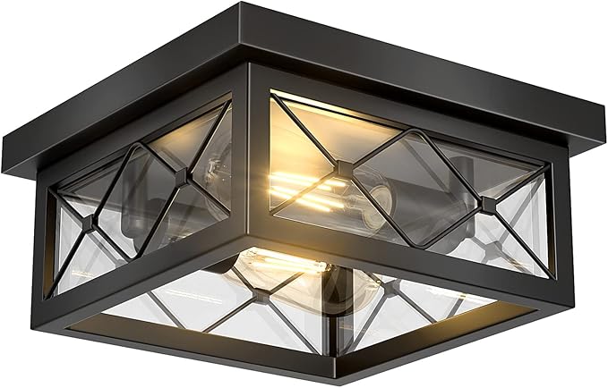 2 Light Farmhouse Flush Mount Ceiling Light Black Metal Cage with Clear Glass