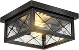 2 Light Farmhouse Flush Mount Ceiling Light Black Metal Cage with Clear Glass