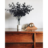 Black Eucalyptus Stems Leaves Branches Fake Flower Arrangement Farmhouse Home Bathroom Decor 6Pcs (Black)