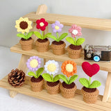 Cute Knitted Flower Plant, Kawaii Handmade Crochet Flowers,Small Potted Artificial Flower Plants, Desk Home Car Dashboard Decorations (Daisy-White)