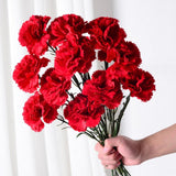 10Pcs Artificial Flowers Carnation Flower,Silk Carnations Flower Bouquets, For Wedding, Home Office Garden Decoration, Table Centerpieces, Floral Arrangements (Red)