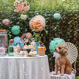 Pastel Tissue Paper Pom Poms - Hanging Paper Flowers For Rainbow Pastel Birthday Decorations, Baby Shower Decor, Easter Party Decor And Classroom Decorations By (20Pc)
