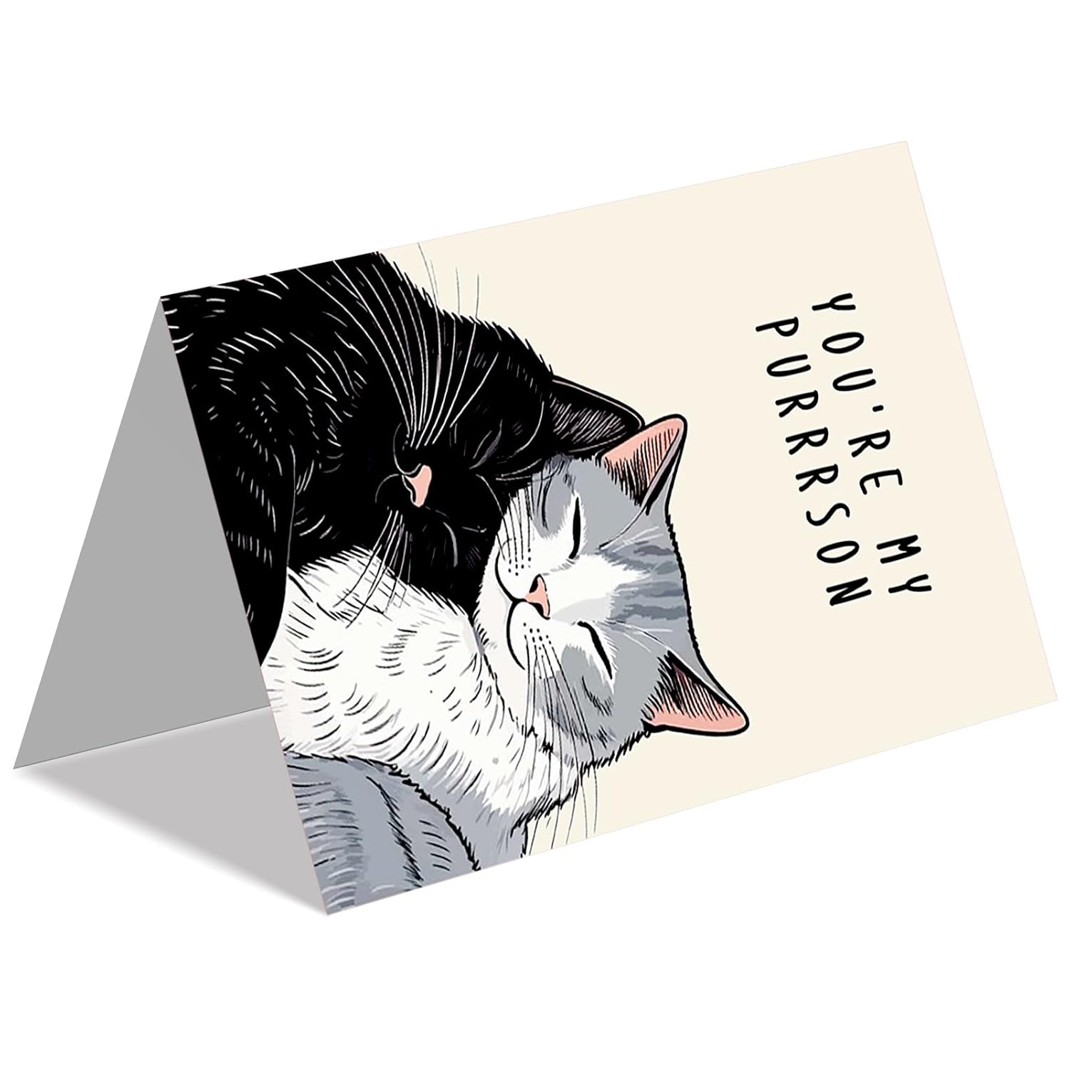 Cute Cat Valentines Day Cards, Lovely Anniversary Card Gifts For Women Men, Romantic Valentines Gifts For Him Her, Cat Valentines Gift Ideas