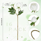 16 Pcs Artificial Peonies Flowers With Stems 18.9 Inch Single White Artificial Flowers Fake Chinese Herbaceous Peonies For Home Decor Bridal Shower Wedding Floral Arrangement