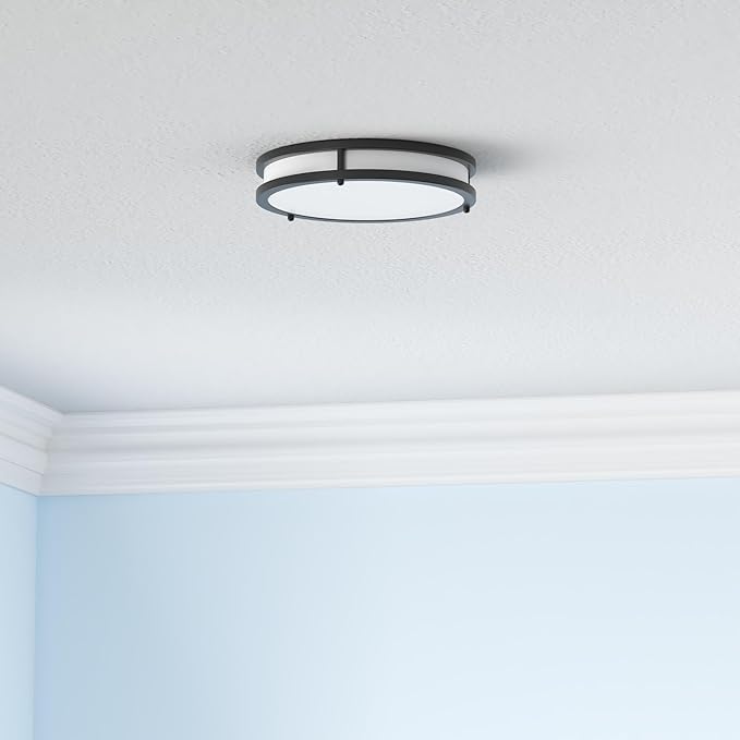2 Pack 10 Inch Black LED Ceiling Lights 4000LM 5CCT Dimmable Flush Mount Fixtures