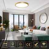 12 Inch Gold LED Ceiling Light 3200LM 5000K Flush Mount Modern Round Fixture