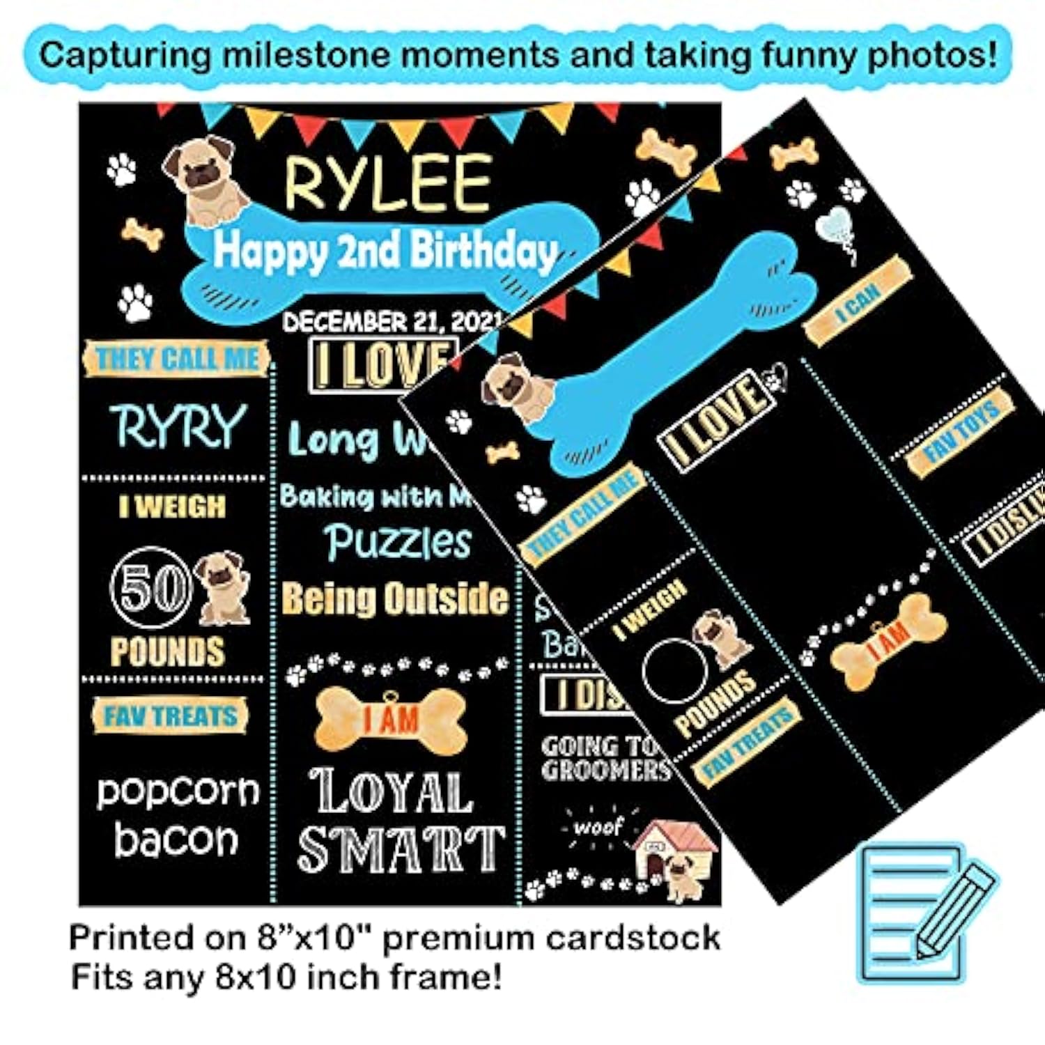 Dog Birthday Party Supplies, Blue Dog Birthday Decorations, Lets Pa Balloons Banner, Dog Baday Bandana Hat Scarfs