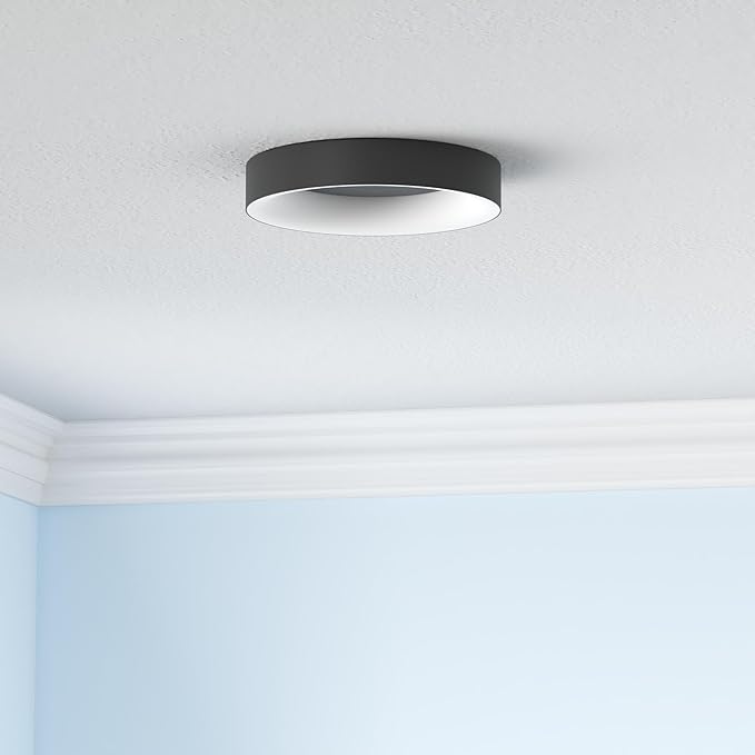 11 Inch RGB LED Ceiling Light with Remote Black Flush Mount Fixture