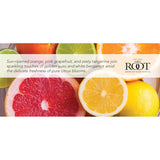 Root Candles Scented Candles in Travel Tin 24-Hour Honeycomb Traveler Handcrafted Beeswax Blend Candle, 4-Ounce, Citron & Bergamot