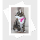 Adorable Cats And Kittens Greeting Cards-Set Of 10 All Occasion 5X7 Note Cards With Envelopes. Blank Inside. Cute Photos Of Lovable Furbabies!