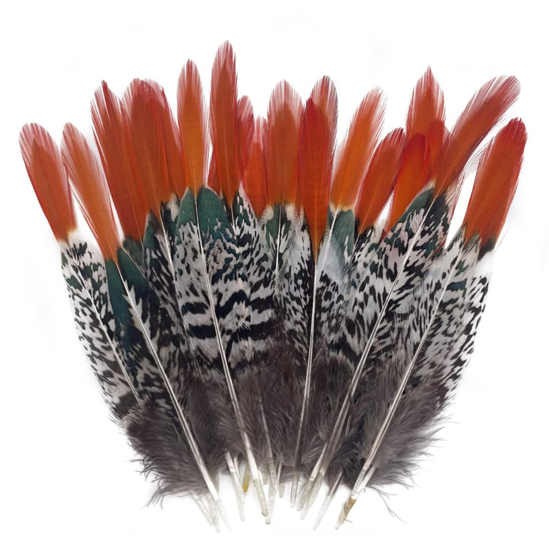 10Pcs Natural Spotted Feathers Pheasant Feathers For Craft Clothing Jewelry Ac